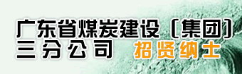 �㶫ʡú̿���裨���ţ����޹�˾���ֹ�˾��Ƹ