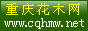 ���컨ľ��